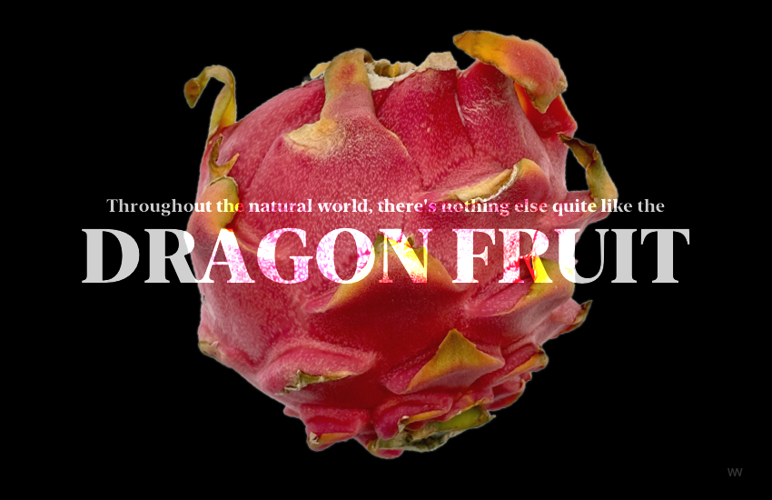 Throughout the natural world, there's noting else quite like the Dragon Fruit.