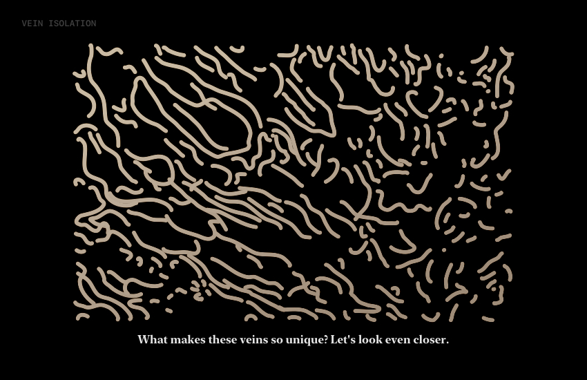 What makes these veins so unique? Let's look even closer.