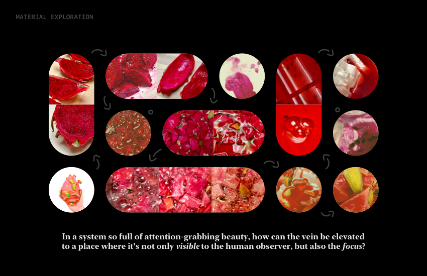 Material exploration: In a system so full of attention-grabbing beauty, how can the vein be elevated to a place where it's not only visible to the human observer, but also the focus?